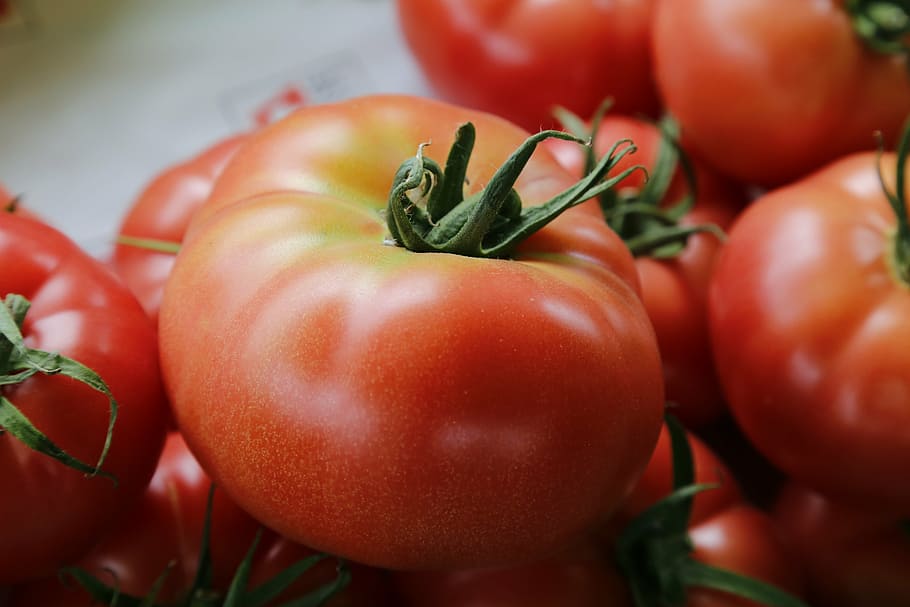 tomatoes, vegetables, food, freshness, red, organic, vegetarian Food HD wallpaper