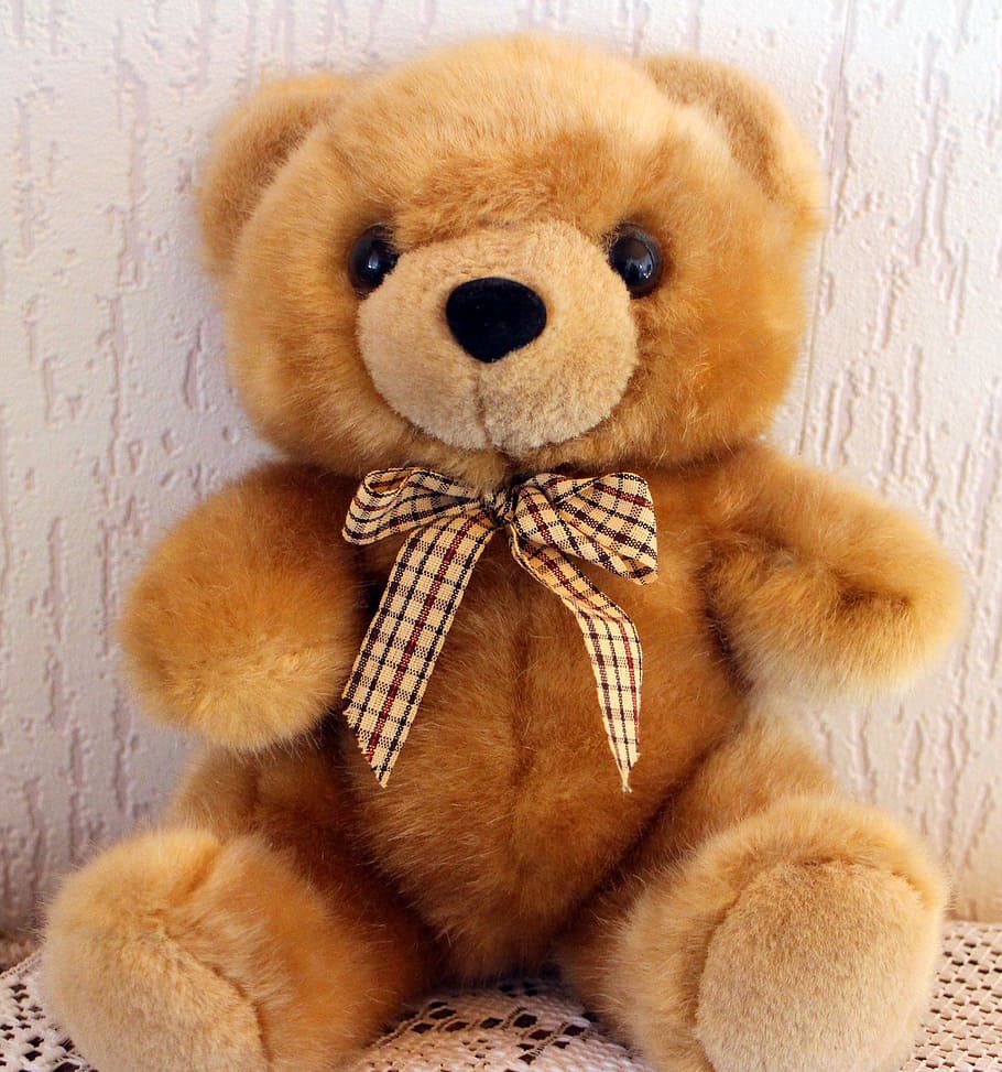 brown teddy bear, bears, soft toy, cute, children toys, stuffed animal, HD wallpaper