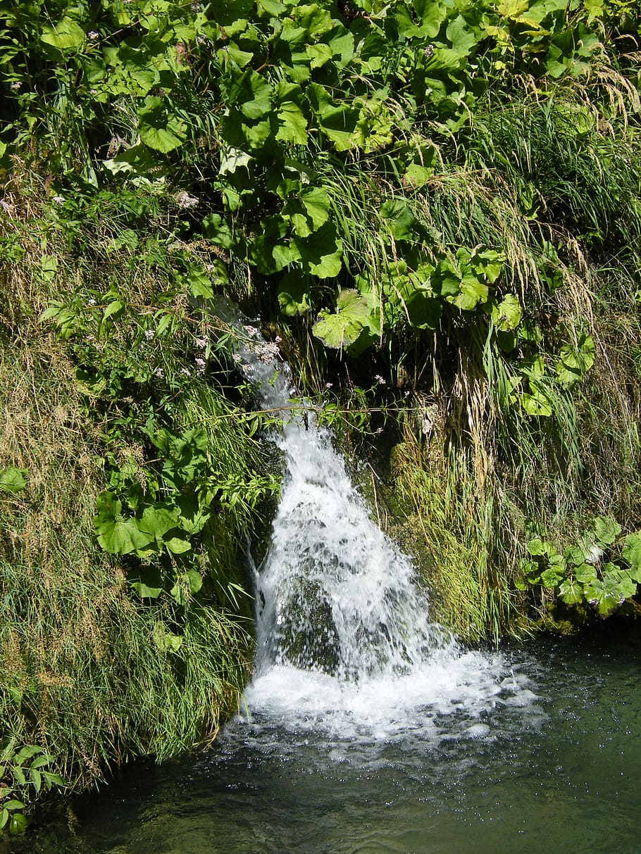 wasseerfall, frisch, source, green, bubble, spring, water, plant HD wallpaper