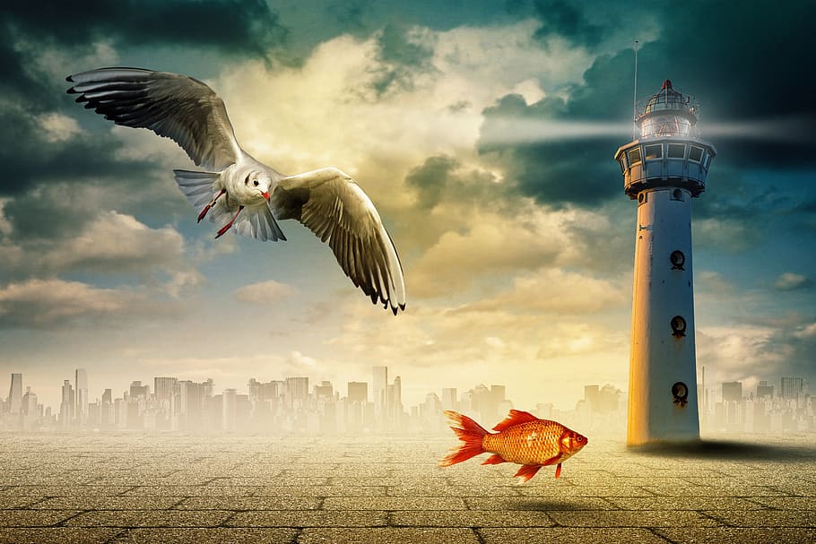 composing, surreal, skyline, seagull, fish, lighthouse, photomontage HD wallpaper