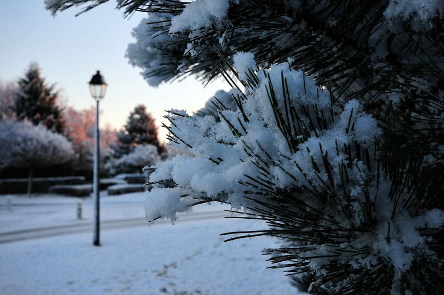 snow, landscape, aurora, morning, reverberatory, cold temperature HD wallpaper