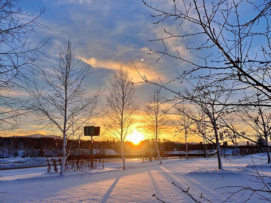 Sunset, Snow, Sunshine, Shadow, winter, cold temperature, bare tree HD wallpaper