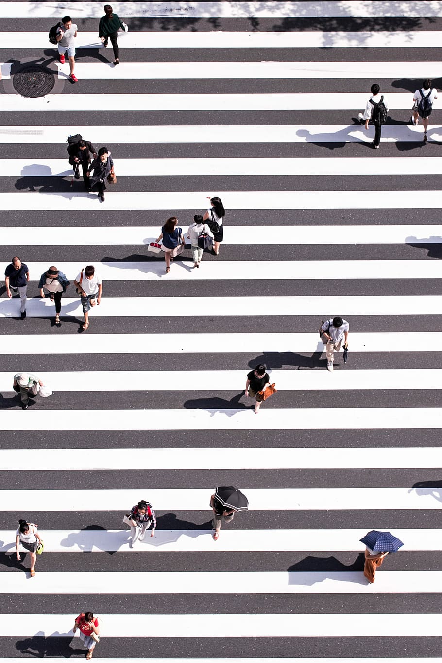 aerial view photography of group of people walking on gray and white pedestrian lane, aerial photography of people walking on pedestrian lane