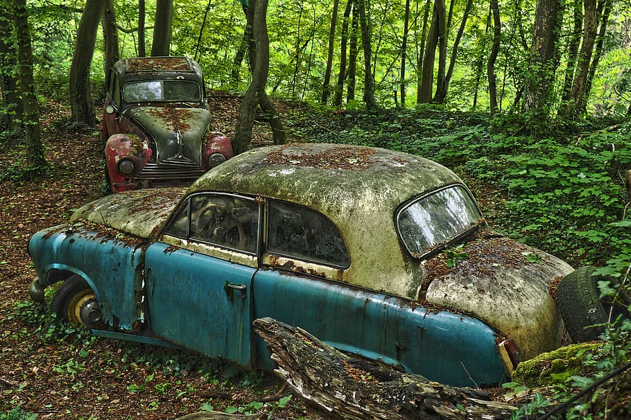 two wrecked cars surrounded by trees, auto, car cemetery, oldtimer
