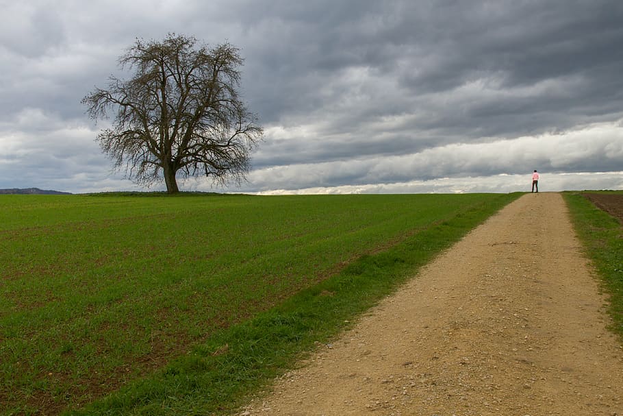 autumn walk, lane, away, clouds, field, landscape, nature, scenics HD wallpaper