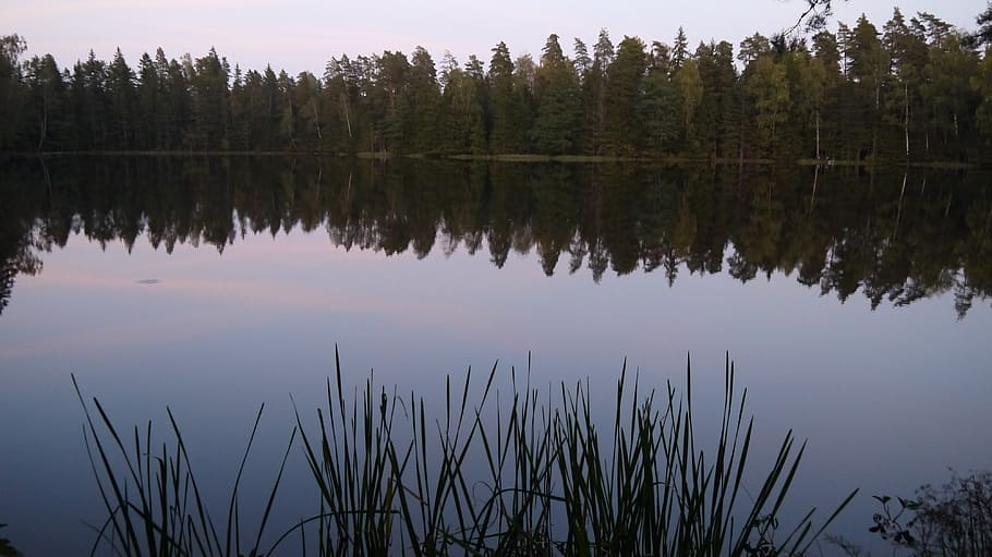 lake, evening, water, sunset, nature, forest, reflection, tranquility HD wallpaper