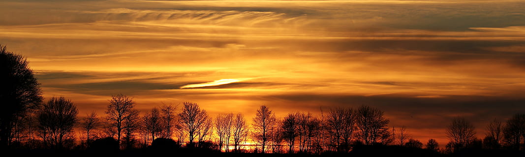 tree silhouette photo, sunset, evening sky, clouds, abendstimmung HD wallpaper
