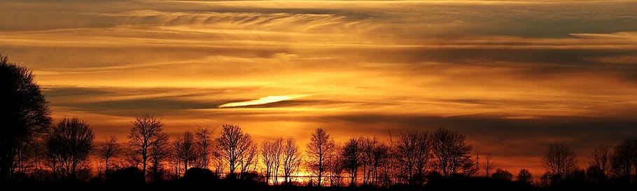 tree silhouette photo, sunset, evening sky, clouds, abendstimmung HD wallpaper