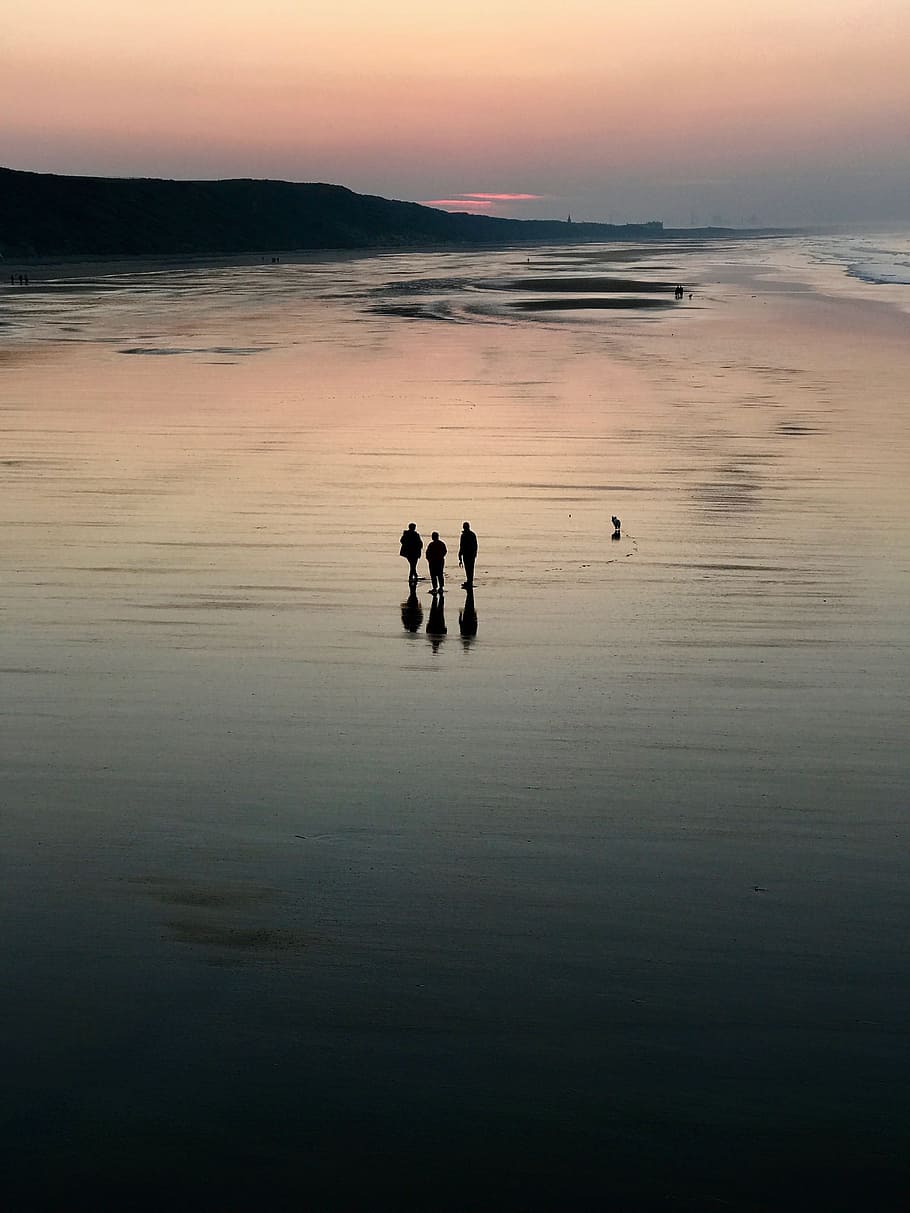 beach, sunset, people, dog, walk, ocean, sunset beach, sea HD wallpaper