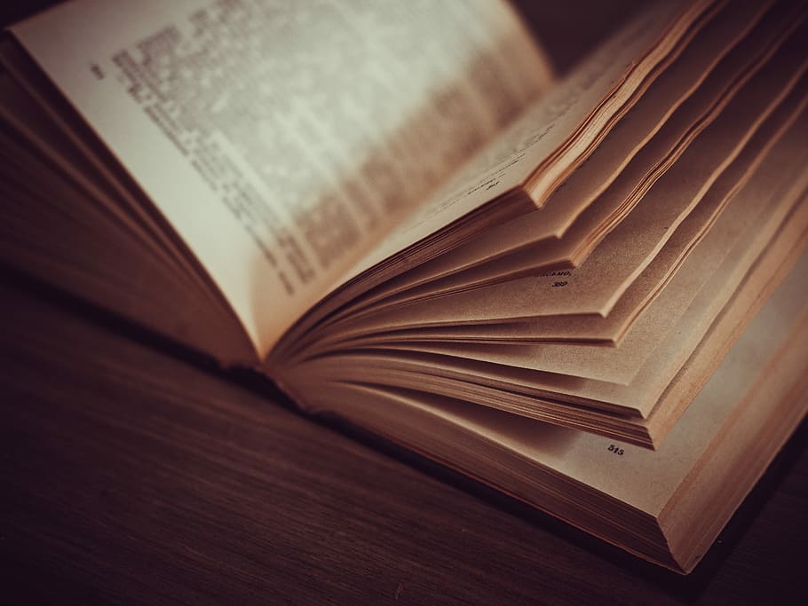 opened book on brown wooden surface, close-up photography of book HD wallpaper
