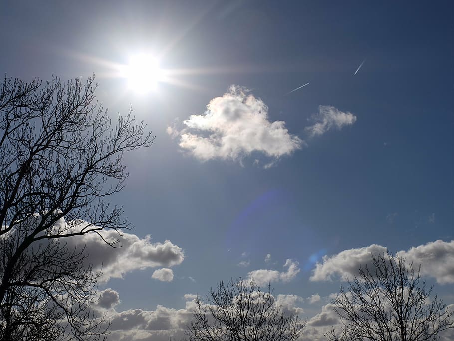 sky, sun, tree, cloud, autumn, low angle view, cloud - sky HD wallpaper