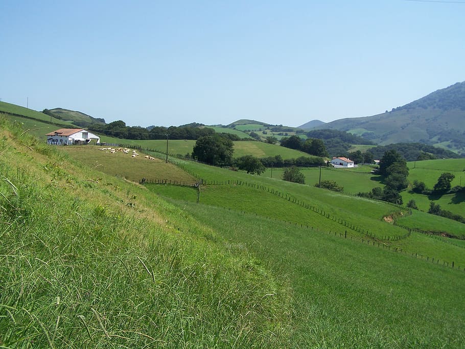 nature, lawn, landscape, panoramic, field, hill, prairie, rural HD wallpaper