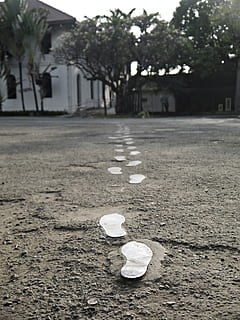 footsteps, jose rizal, philippines, day, city, no people, tree HD wallpaper