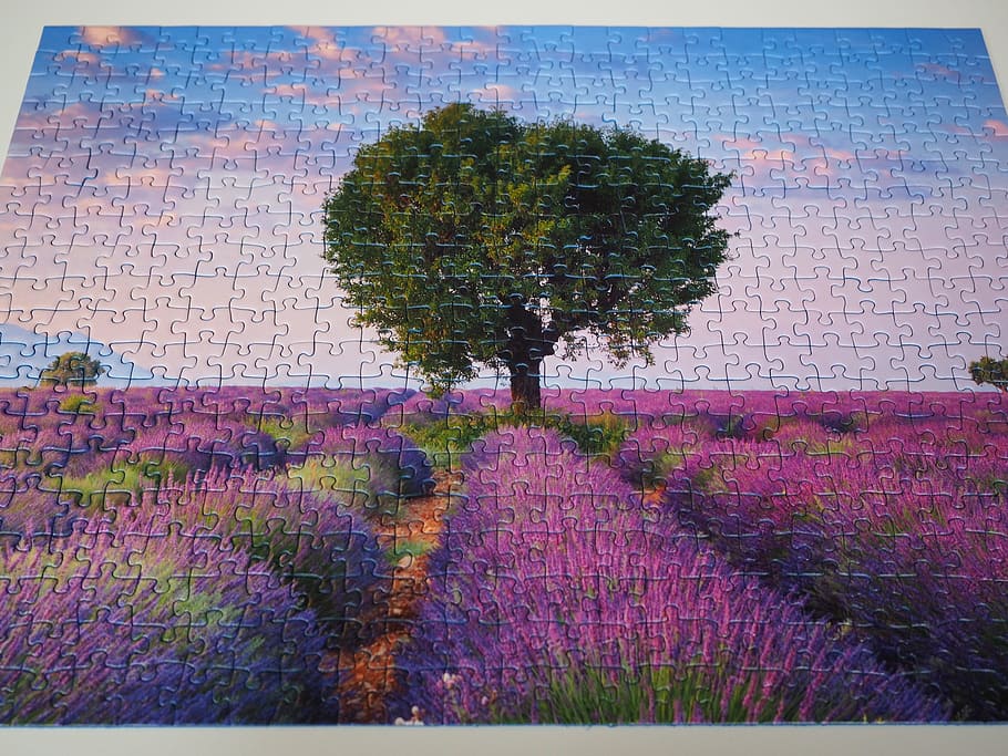 Puzzle, Solved, finish, piecing together, play, patience, memory cards covered with HD wallpaper