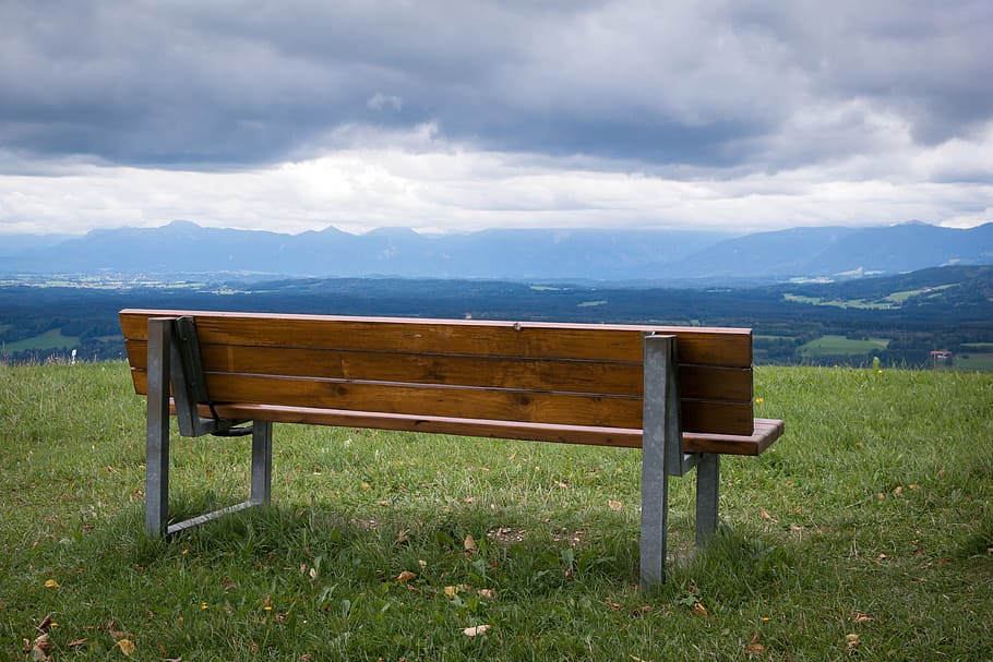 bench surrounded by grass, bank, alpine, viewpoint, meadow HD wallpaper