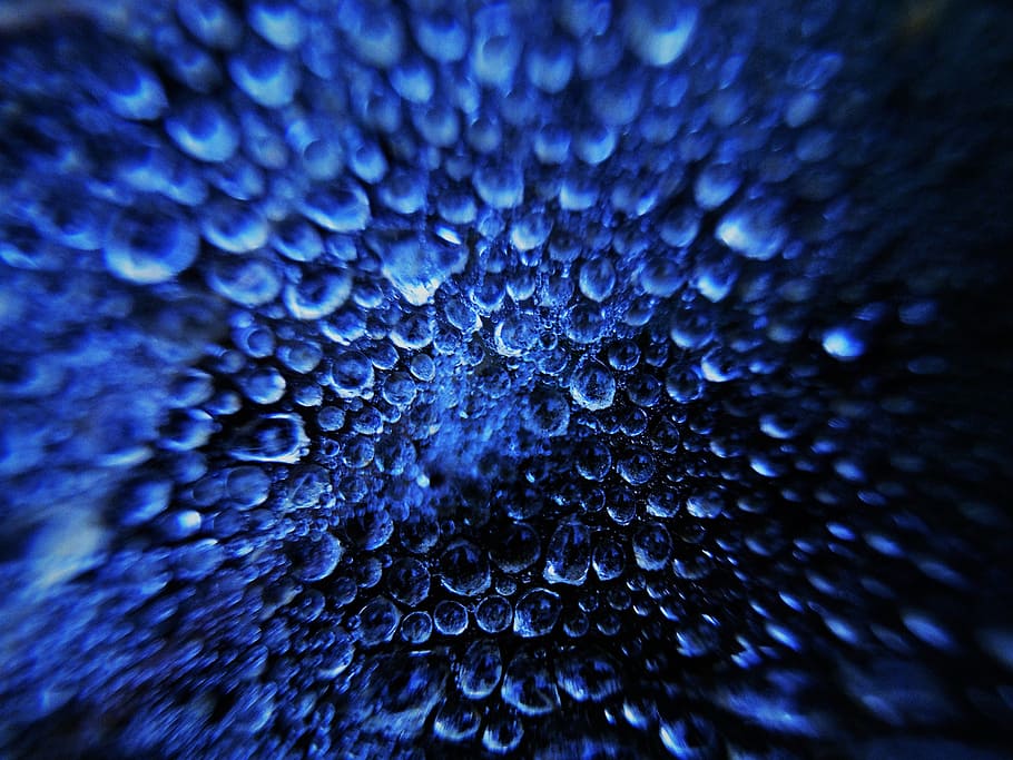 winter, drops, pattern, close-up, backgrounds, full frame, extreme close-up HD wallpaper