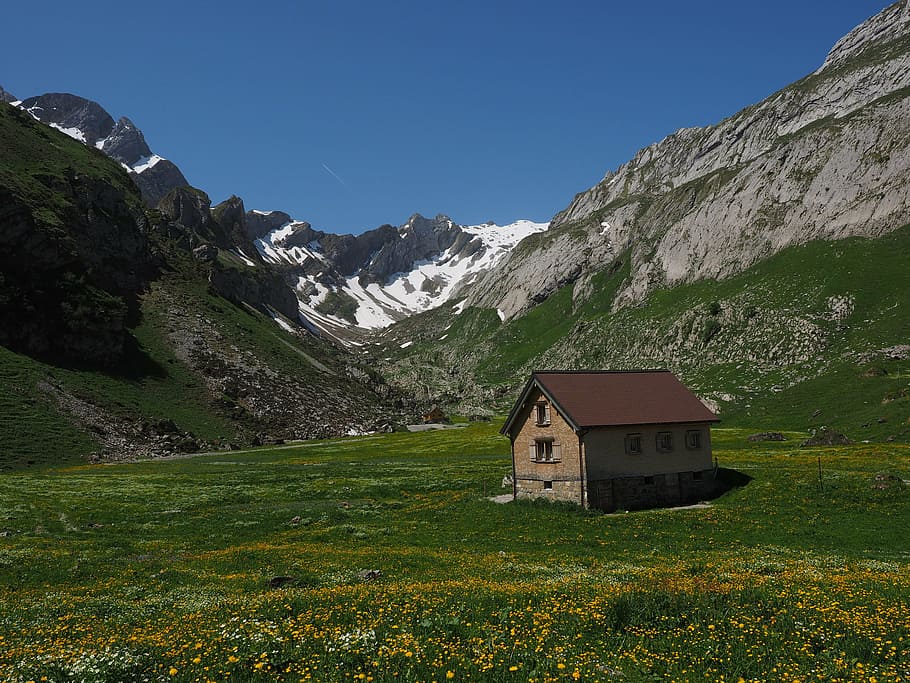 alpe, alm, meglisalp, säntis, bergdorf, homes, alpine village, HD wallpaper