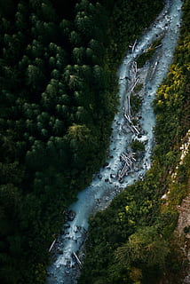 All the rivers running wild., bird's eye view photography of lake surrounded by trees HD wallpaper