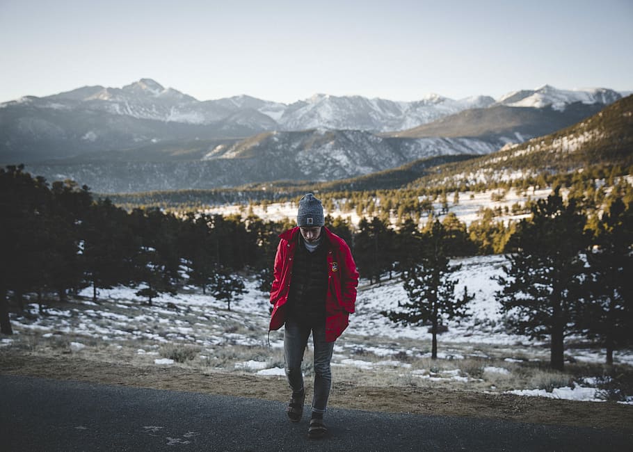 man wearing red jacket walking near the trees, mountain, landscape HD wallpaper