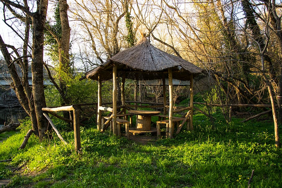Cabin, Woods, Green, Grass, Spring, nature, forest, trees, wooden HD wallpaper