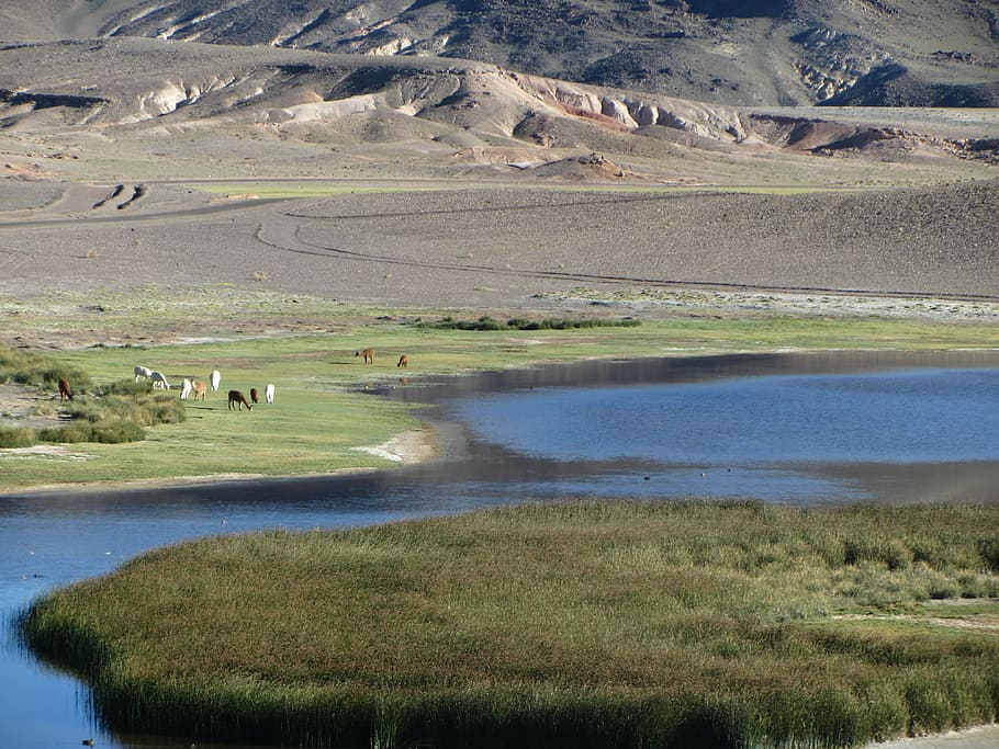 lake, nature, water, landscape, peru, highlands, altiplano, HD wallpaper