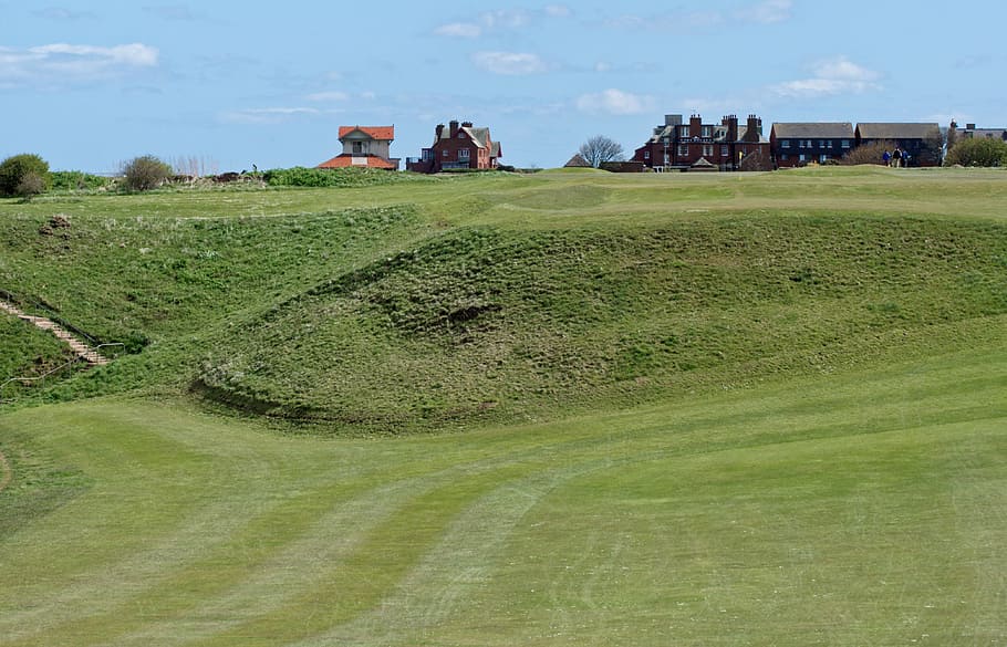 Golf Course, Grass, green, sport, sky, game, nature, landscape HD wallpaper