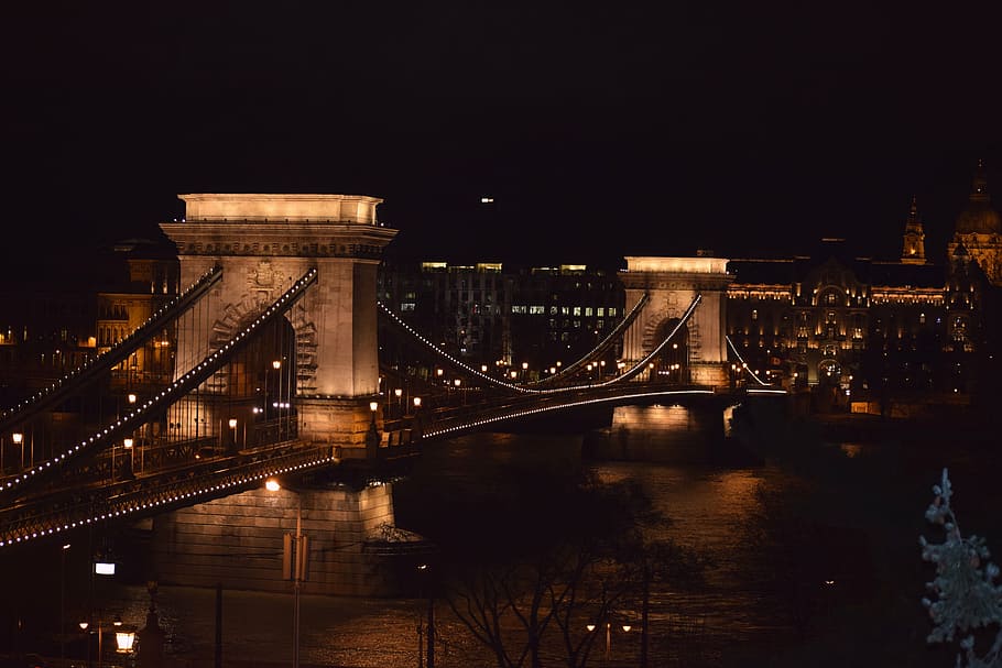 budapest, bridge, at night, river, famous Place, chain Bridge HD wallpaper