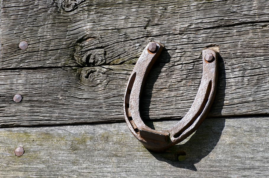 Horseshoe Background Stock Photo, Picture and Royalty Free Image. Image  7212477.