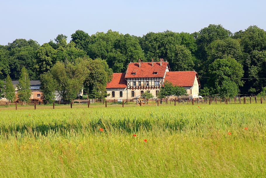 white and black house near trees, view, landscape, rural district HD wallpaper