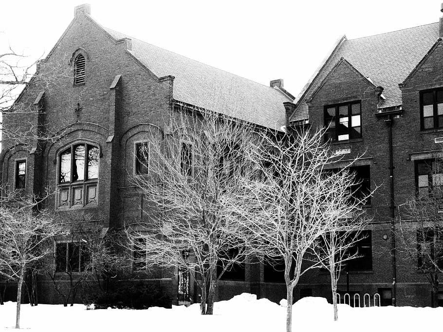 school, snow, winter, trees, old, building, architecture, built structure HD wallpaper