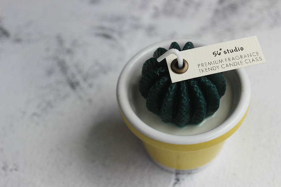 premium fragrance ornament, candle, cactus, succulent, lable HD wallpaper