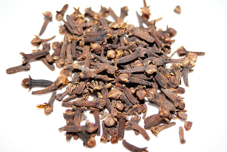 dried flowers, cloves, spice, brown, white background, food and drink HD wallpaper