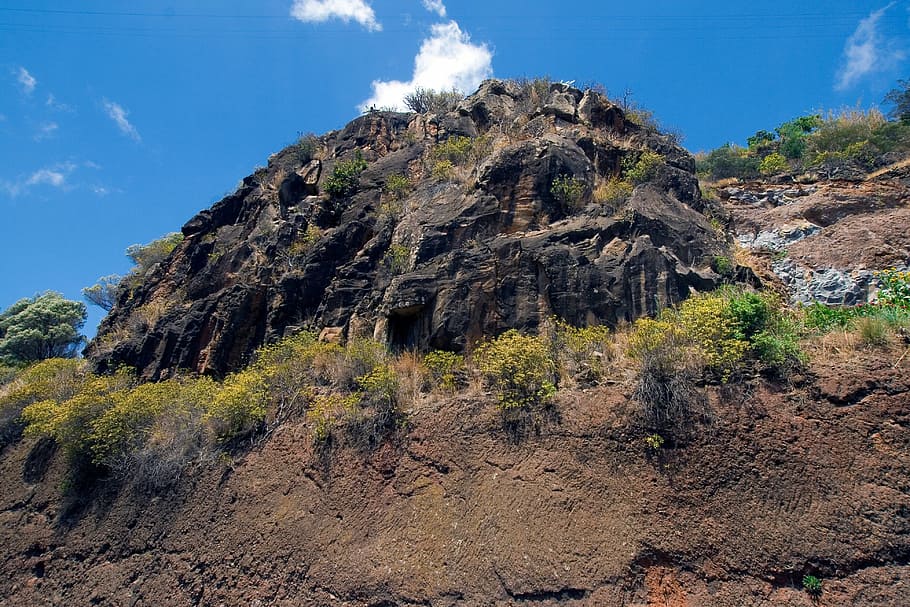 madeira, rock, wegetation, plant, mountain, tree, sky, rock - object HD wallpaper