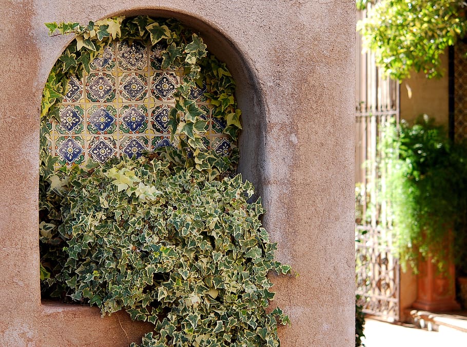 old, building, facade, architecture, stucco elements, beautiful HD wallpaper