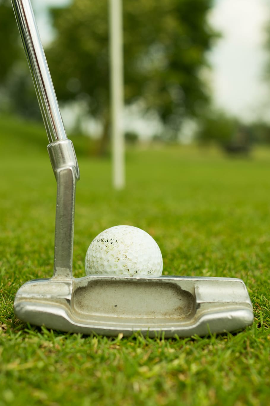 grey golf putter and white gold ball on green grass selective-focus photography at daytime HD wallpaper
