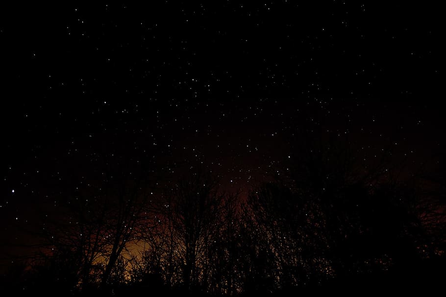nature, black, dark, night, sky, stars, trees, silhouette, star - space HD wallpaper