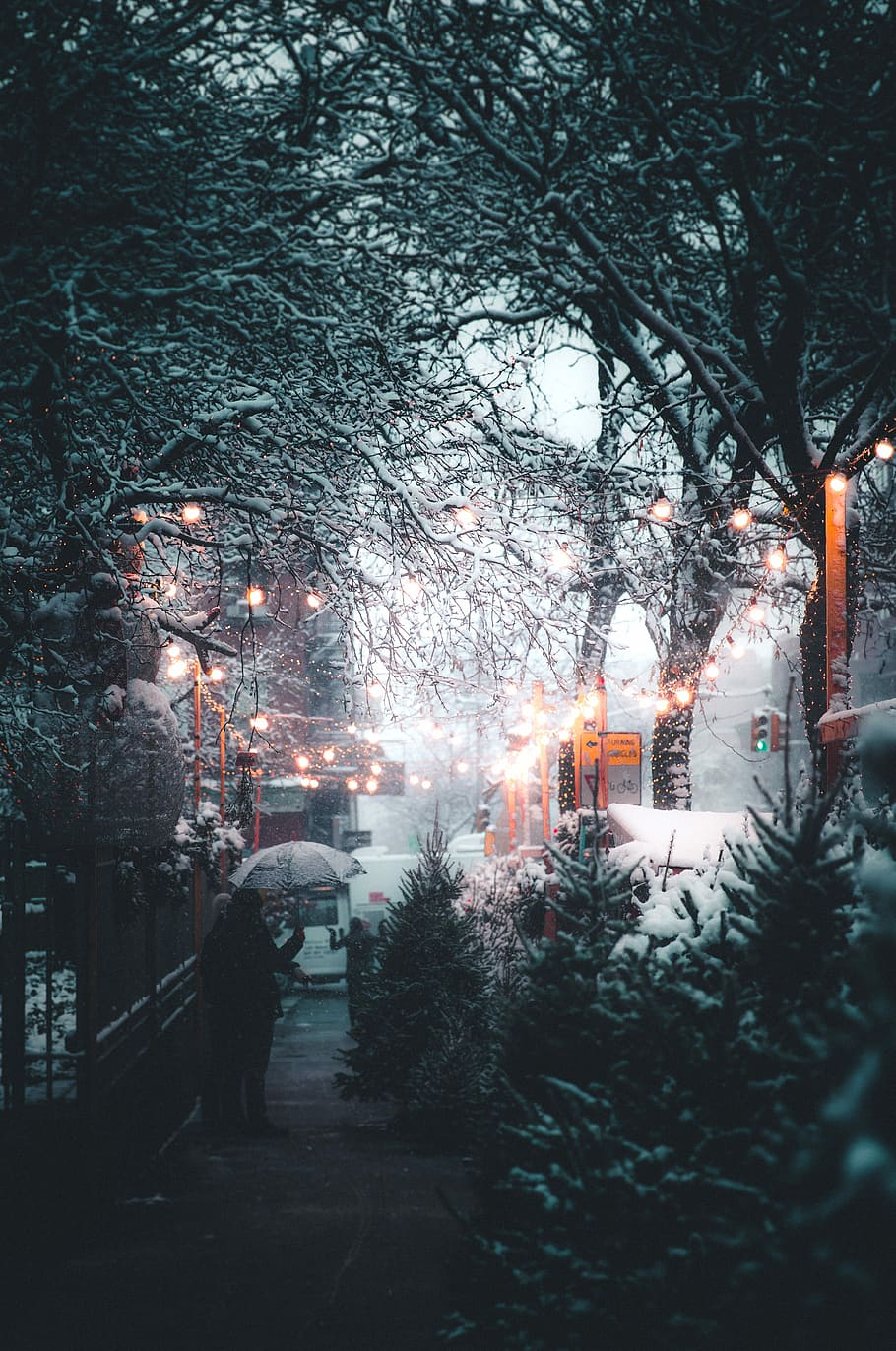 person holding umbrella near streetlight and trees at daytime, photo of snowy street during daytime HD wallpaper