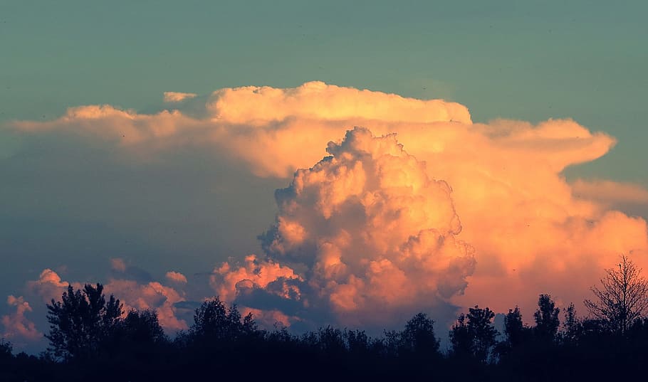 Nature, Clouds, Summer, Sunset, summer sunset, silhouette, tree HD wallpaper