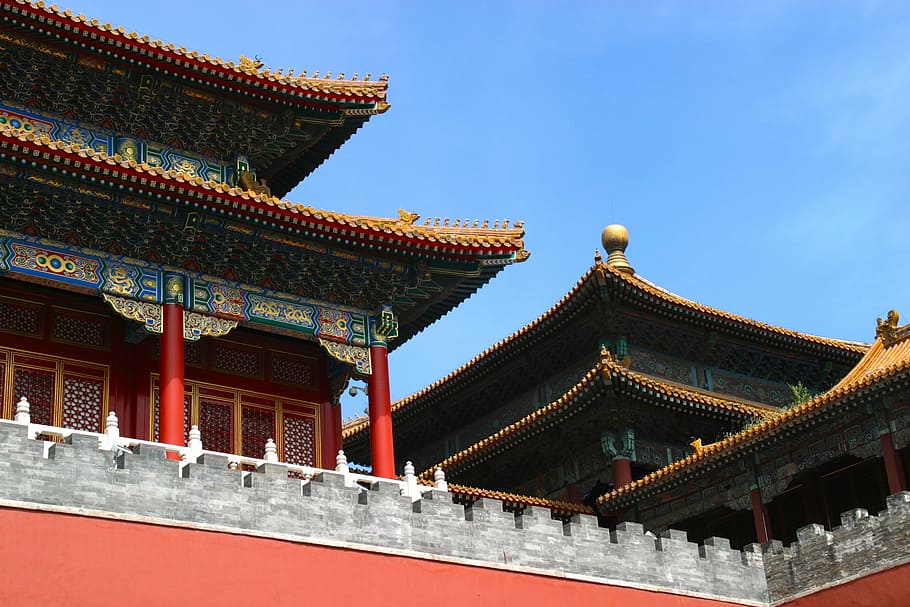 green and brown temple under blue sky, roof, china, dragon, forbidden city, HD wallpaper
