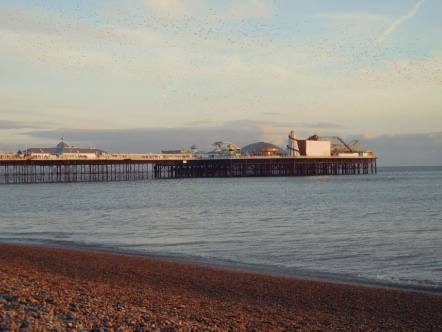 brighton, beach, seaside, summer, holiday, sky, tourism, coast HD wallpaper