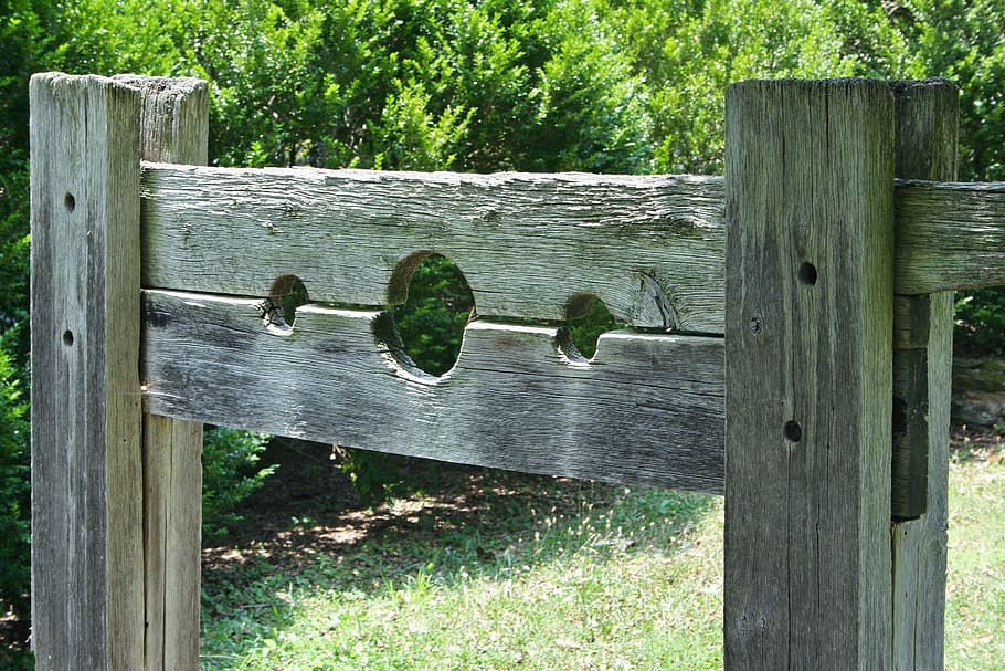 beige wooden stand near green leafed trees at daytime, pillory HD wallpaper