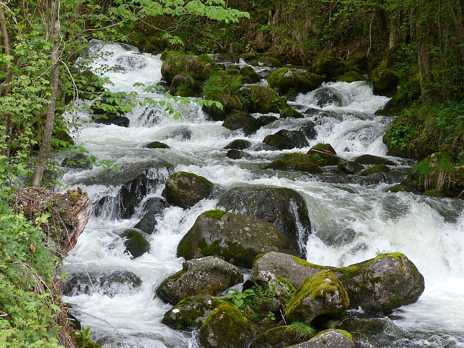 river, nature, water, waterfall, stream, forest, outdoors, rock - Object HD wallpaper