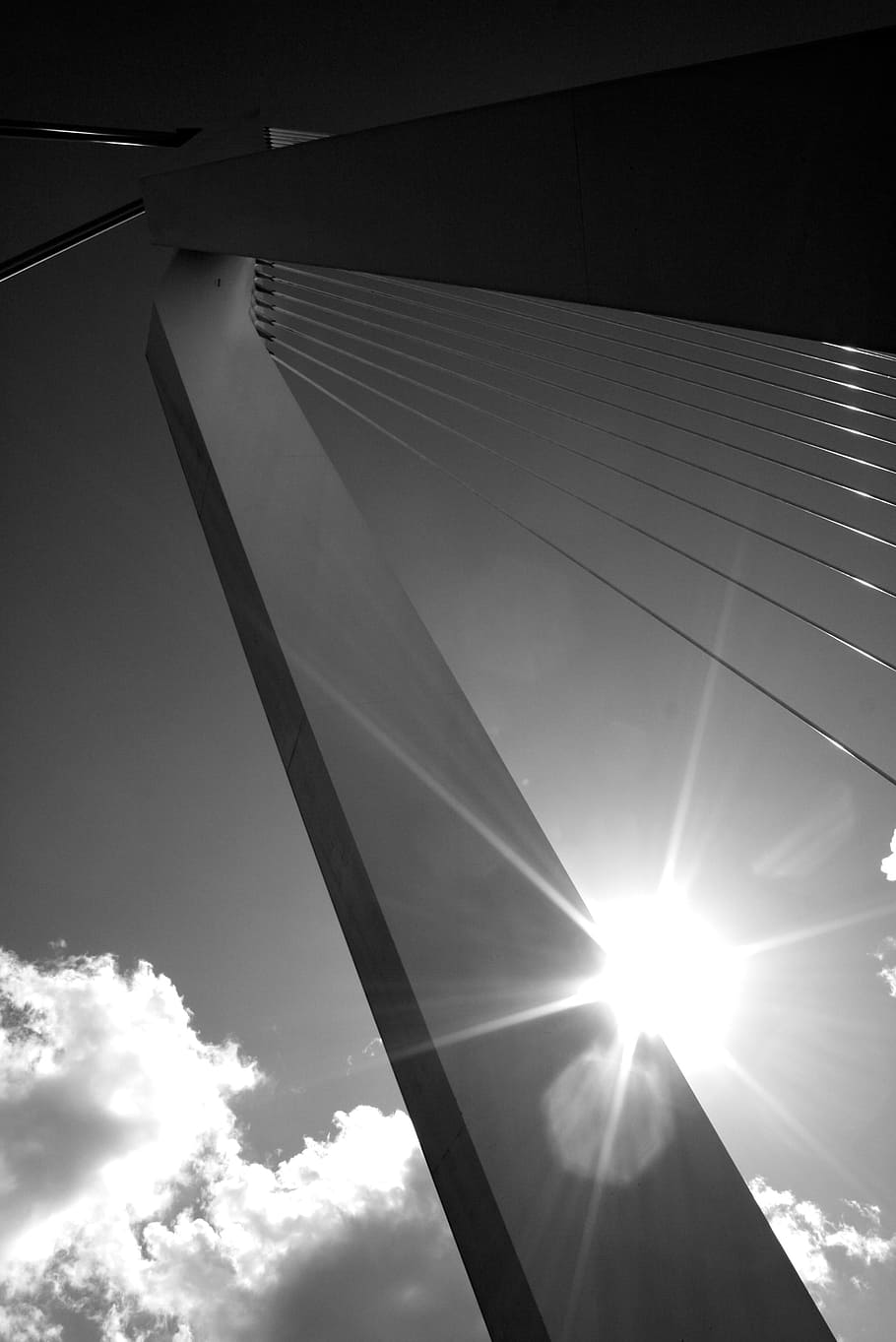 abstract, bridge, lines, cables, sky, architecture, black, white HD wallpaper