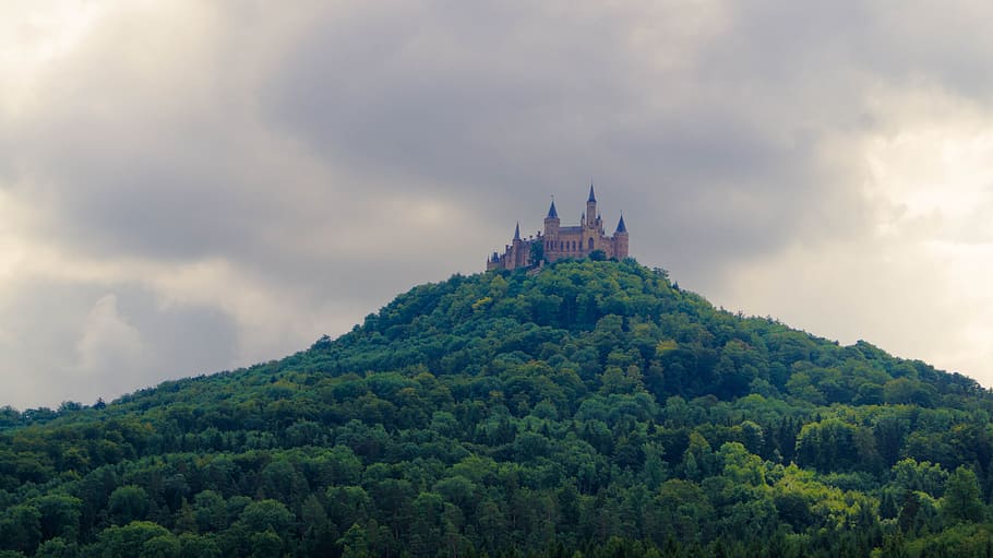 pink castle on top of hill, grass, mountain, trees, sky, gloomy HD wallpaper