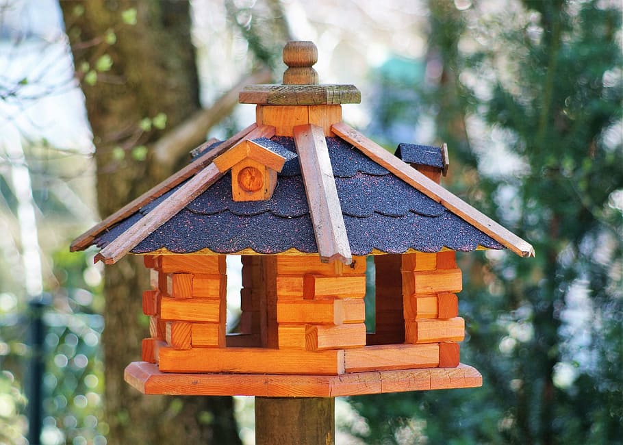 Aviary, Bird, Feed, Birds, Nature, Wood, feeding place, bird feeder, HD wallpaper