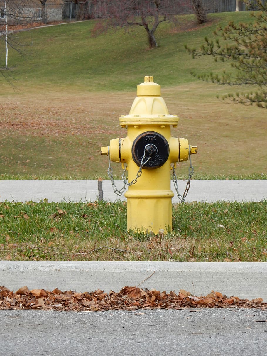 Fire Hydrant, Yellow, water, safety, equipment, metal, street HD wallpaper