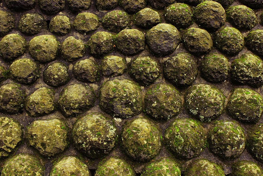 pattern, cannon, ball, weapon, war, moss, nature, takes over HD wallpaper