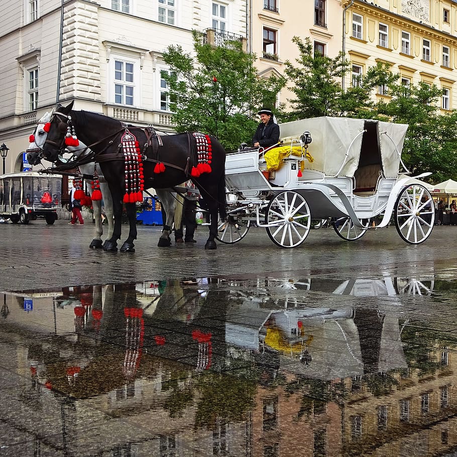 cab, chaise, kraków, the market, team, horses, reflection, HD wallpaper