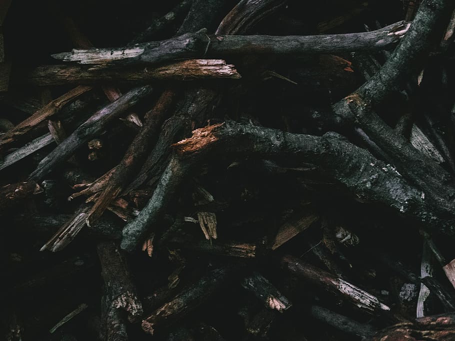 closeup photo dried woods, black wood twigs, logs, pile, fire HD wallpaper