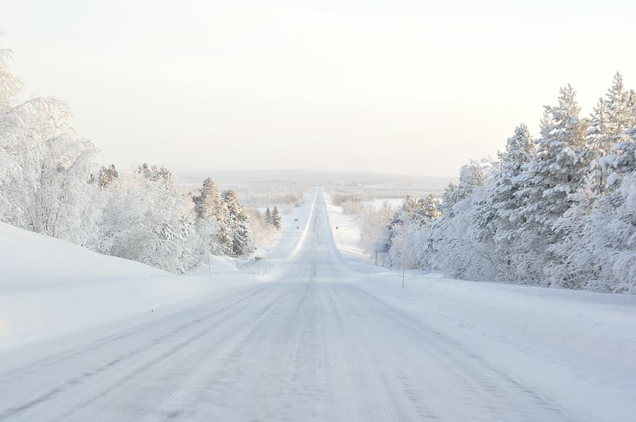 road covered with snow, clear roadway between trees covered by snow HD wallpaper